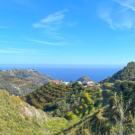 Villa Francisca Malaga Exterior photo